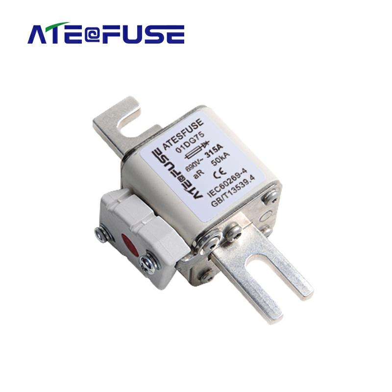 ATES-DG AC690V Energy Storage FUSE